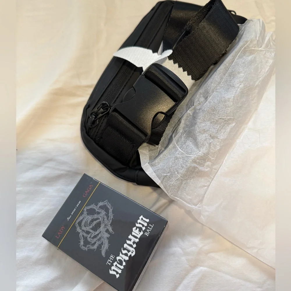 Lady Gaga mayhem ball vip package - Picture 4 of 9